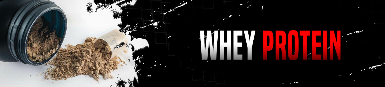 Venum Fight Venum Fight